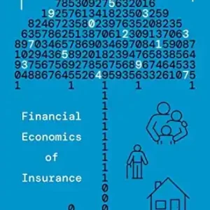 Financial Economics of Insurance Wholesale