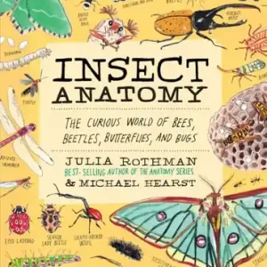 Insect Anatomy Low Price